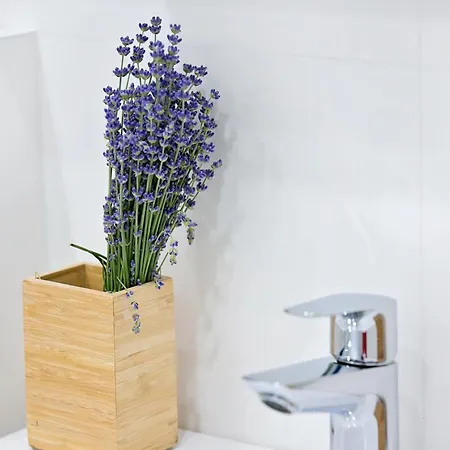 Apartman Ap Tzar Peter I Várna