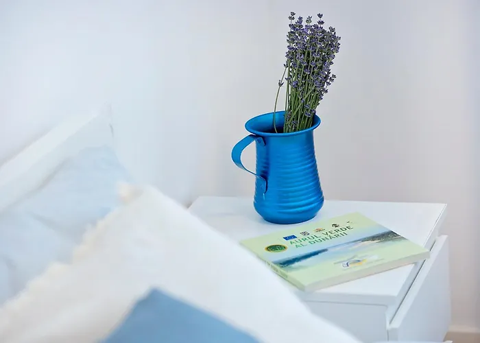 Ap Tzar Peter I Lejlighed Varna