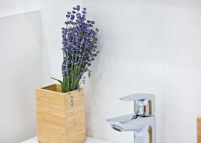 Lejlighed Ap Tzar Peter I Varna